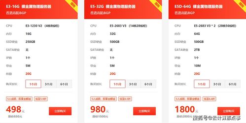 小鸟云裸金属物理服务器0元拼团活动 限量抢购，开启高效终端租赁新体验